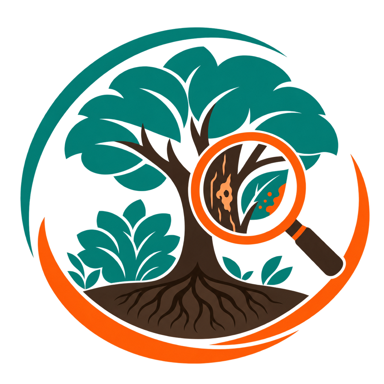 Tree evaluation icon with a magnifying glass inspecting tree bark